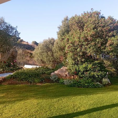 Sea & Country Rooms Porto Rotondo גולפו אראנצ'י מראה חיצוני תמונה
